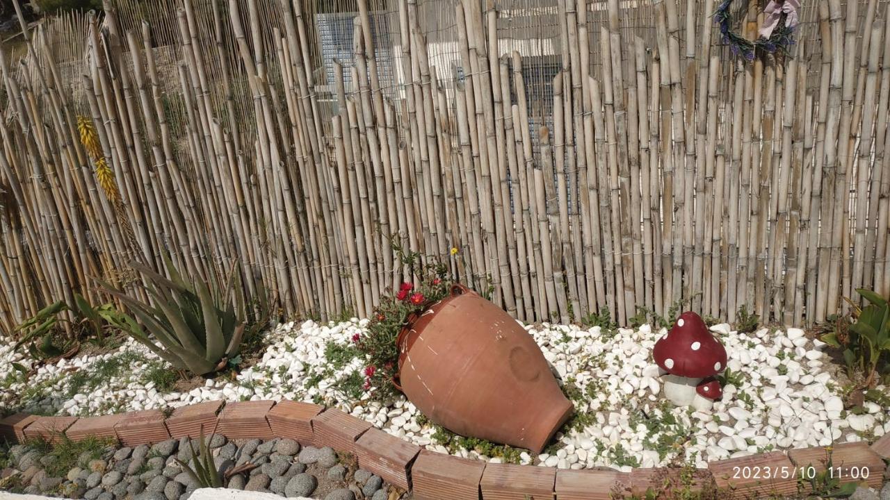 Meltemi Apartments Agia Marina  Ngoại thất bức ảnh